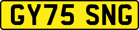 GY75SNG