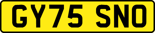 GY75SNO