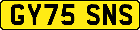 GY75SNS