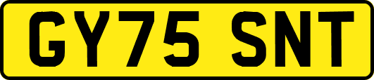 GY75SNT