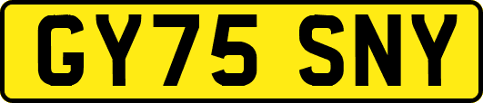 GY75SNY