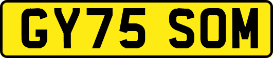 GY75SOM