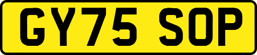 GY75SOP