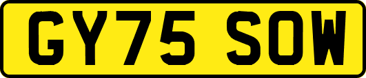 GY75SOW