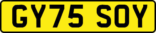 GY75SOY
