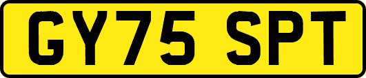 GY75SPT