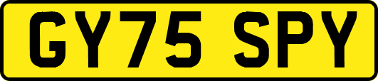GY75SPY
