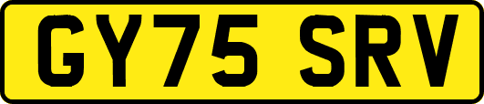 GY75SRV