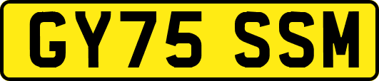 GY75SSM