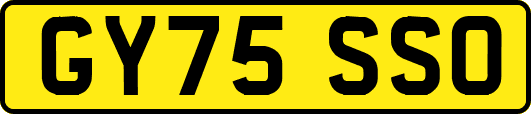 GY75SSO