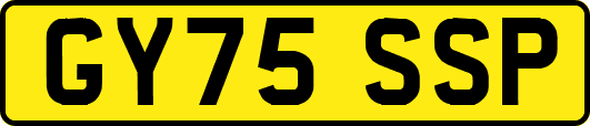 GY75SSP