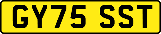 GY75SST