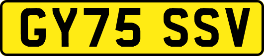 GY75SSV