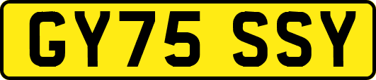 GY75SSY