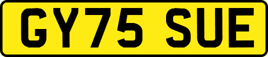 GY75SUE