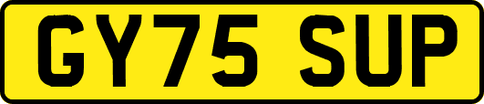 GY75SUP