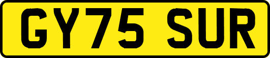 GY75SUR