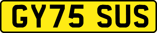GY75SUS