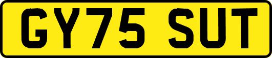 GY75SUT
