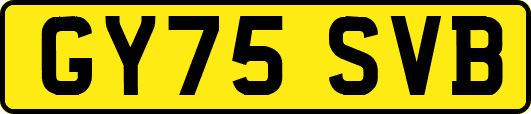 GY75SVB