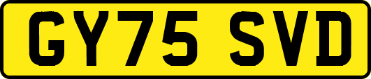 GY75SVD
