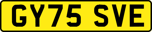 GY75SVE