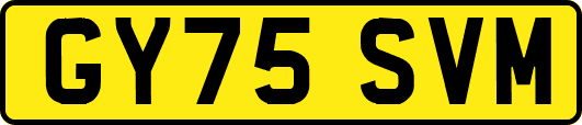 GY75SVM