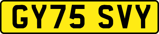 GY75SVY