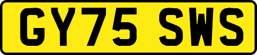 GY75SWS