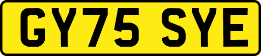 GY75SYE