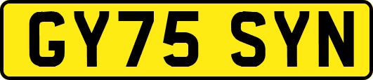 GY75SYN