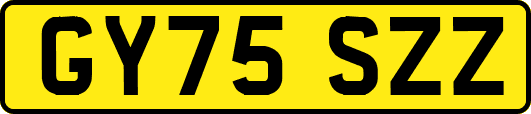 GY75SZZ