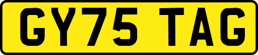 GY75TAG