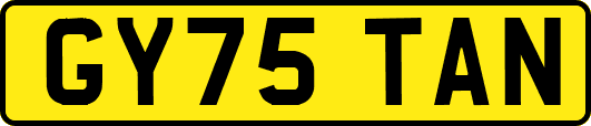 GY75TAN