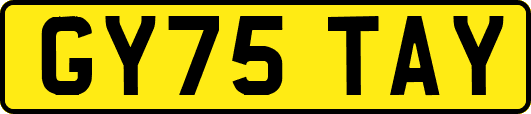 GY75TAY