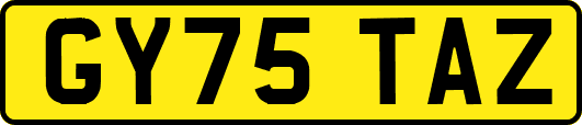 GY75TAZ