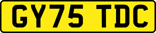 GY75TDC