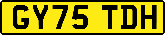 GY75TDH