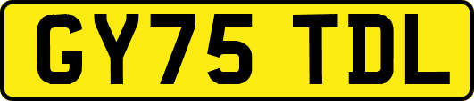 GY75TDL