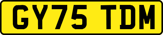 GY75TDM