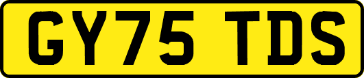 GY75TDS
