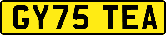 GY75TEA