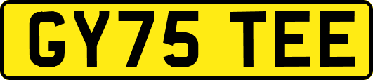 GY75TEE
