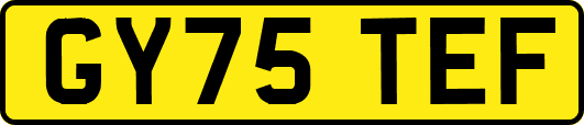 GY75TEF