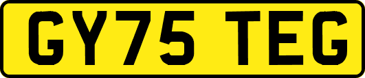 GY75TEG