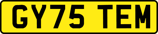 GY75TEM