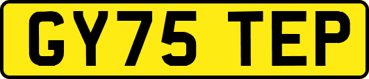 GY75TEP