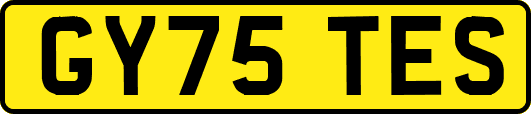 GY75TES