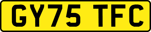 GY75TFC