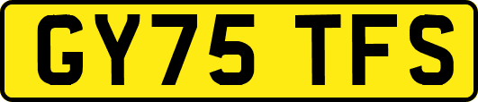 GY75TFS